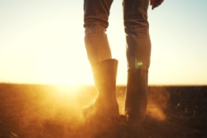 Managing Foot Pain From Standing at Work
